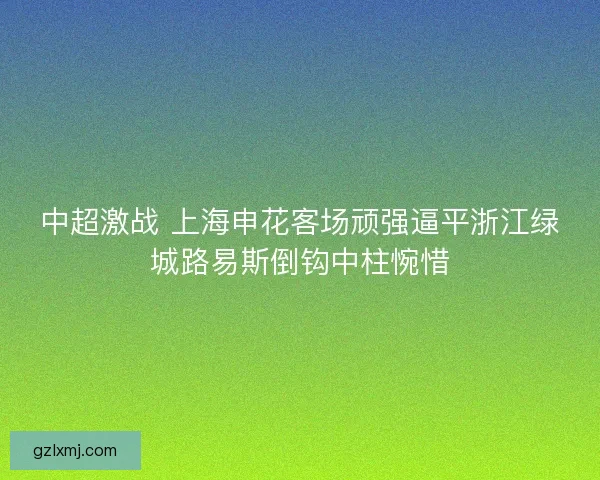 中超激战 上海申花客场顽强逼平浙江绿城路易斯倒钩中柱惋惜